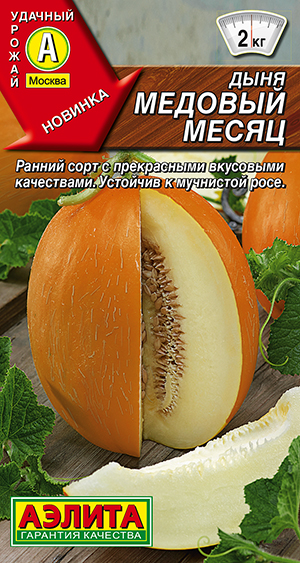 Дыня Медовый месяц Дыня Медовый месяц