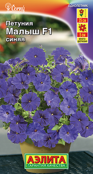 Петуния мини Малыш F1 синяя многоцветковая Петуния мини Малыш F1 синяя многоцветковая