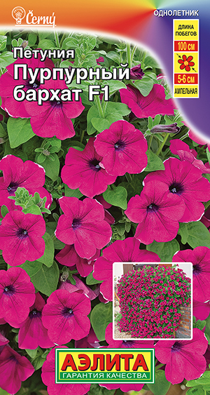 Петуния Пурпурный бархат F1 ампельная Петуния Пурпурный бархат F1 ампельная