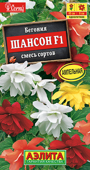 Бегония ампельная Шансон F1, смесь сортов Бегония ампельная Шансон F1, смесь сортов