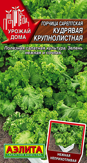 Горчица сарептская Кудрявая крупнолистная Горчица сарептская Кудрявая крупнолистная