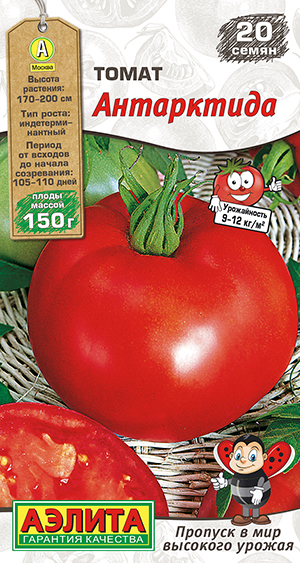 Томат Антарктида Томат Антарктида