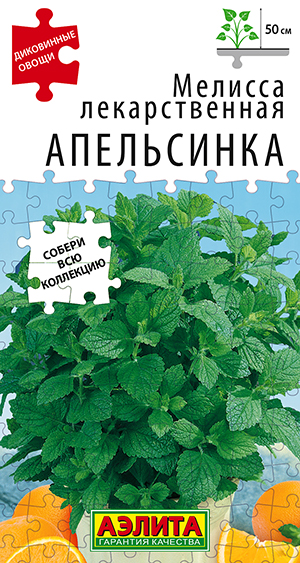 Мелисса лекарственная Апельсинка Мелисса лекарственная Апельсинка