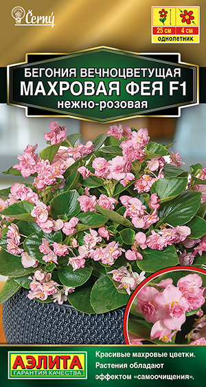 Бегония вечноцветущая махровая Фея F1 нежно-розовая Бегония вечноцветущая махровая Фея F1 нежно-розовая