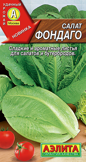 Салат Фондаго Салат Фондаго