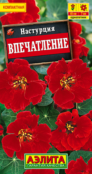 Настурция Впечатление Настурция Впечатление