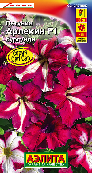 Петуния Арлекин Бургунди F1 крупноцветковая Петуния Арлекин Бургунди F1 крупноцветковая