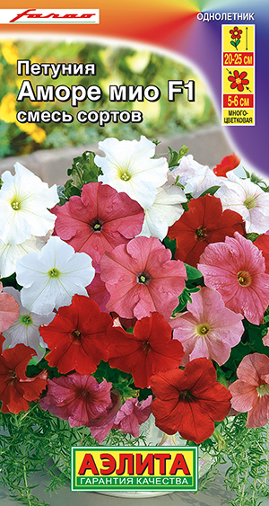 Петуния Аморе Мио F1, смесь сортов Петуния Аморе Мио F1, смесь сортов