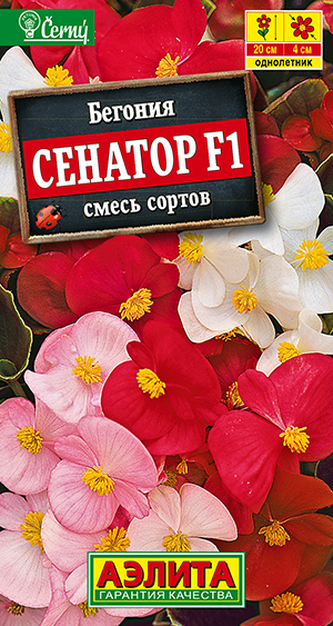 Бегония вечноцветущая Сенатор F1, смесь сортов Бегония вечноцветущая Сенатор F1, смесь сортов