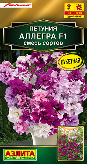 Петуния Аллегра F1, смесь сортов Петуния Аллегра F1, смесь сортов