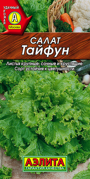 Салат Тайфун листовой Салат Тайфун листовой