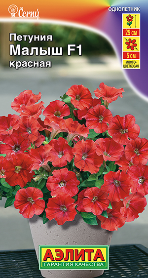 Петуния мини Малыш F1 красная многоцветковая Петуния мини Малыш F1 красная многоцветковая