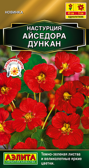 Настурция Айседора Дункан Настурция Айседора Дункан