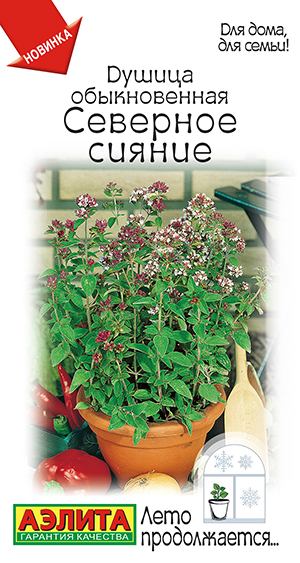 Душица обыкновенная Северное сияние Душица обыкновенная Северное сияние