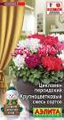 Цикламен Крупноцветковый, смесь сортов Цикламен Крупноцветковый, смесь сортов