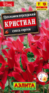 Цикламен персидский Кристиан, смесь сортов Цикламен персидский Кристиан, смесь сортов