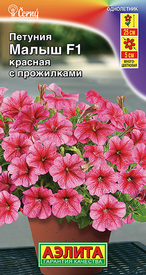 Петуния мини Малыш F1 красная с прожилками многоцветковая Петуния мини Малыш F1 красная с прожилками многоцветковая