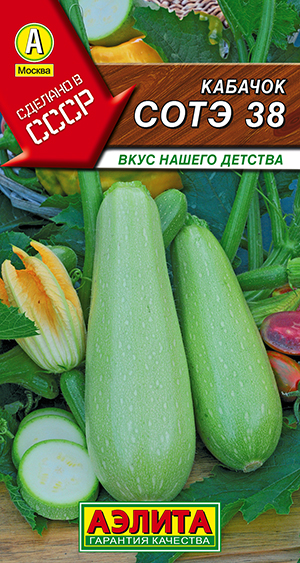 Кабачок белоплодный Сотэ 38 Кабачок белоплодный Сотэ 38