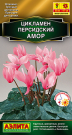 Цикламен персидский Амор Цикламен персидский Амор