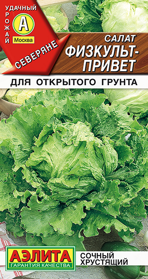 Салат Физкульт-привет Салат Физкульт-привет