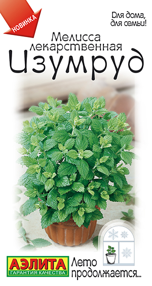 Мелисса лекарственная Изумруд Мелисса лекарственная Изумруд