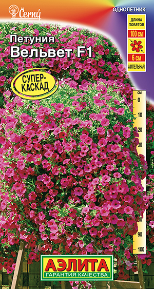 Петуния Вельвет F1 ампельная Петуния Вельвет F1 ампельная