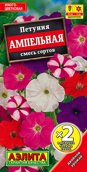 Петуния Ампельная, смесь сортов Петуния Ампельная, смесь сортов