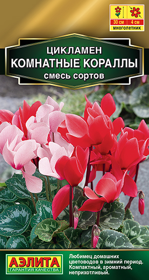 Цикламен Комнатные кораллы, смесь сортов Цикламен Комнатные кораллы, смесь сортов