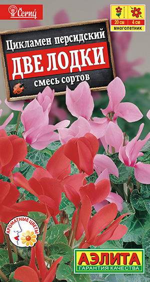 Цикламен персидский Две лодки, смесь сортов Цикламен персидский Две лодки, смесь сортов