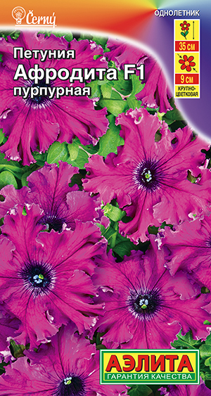 Петуния Афродита F1 пурпурная крупноцветковая бахромчатая Петуния Афродита F1 пурпурная крупноцветковая бахромчатая