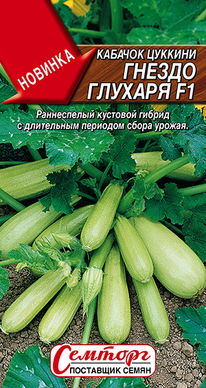 Кабачок цуккини Гнездо глухаря F1 Кабачок цуккини Гнездо глухаря F1