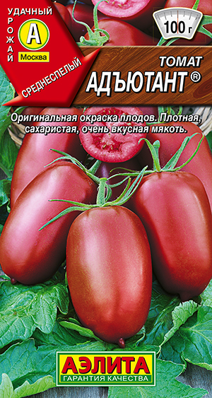 Томат Адъютант Томат Адъютант