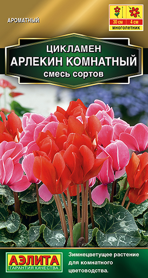 Цикламен Арлекин комнатный, смесь сортов Цикламен Арлекин комнатный, смесь сортов