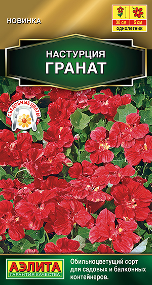 Настурция Гранат Настурция Гранат
