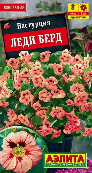 Настурция Леди берд Настурция Леди берд