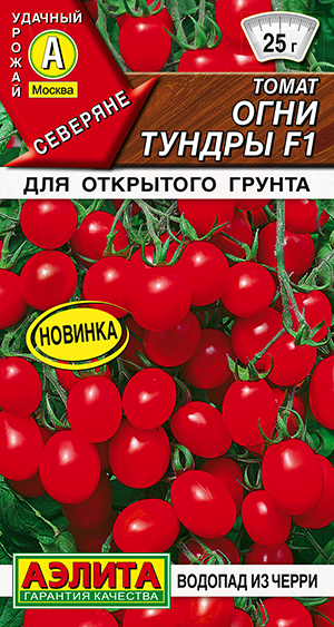 Томат Огни тундры F1 Томат Огни тундры F1