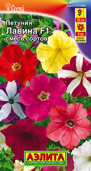 Петуния Лавина F1 крупноцветковая ампельная, смесь сортов Петуния Лавина F1 крупноцветковая ампельная, смесь сортов