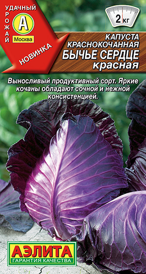 Капуста к/к Бычье сердце красное Капуста к/к Бычье сердце красное