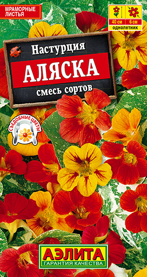 Настурция Аляска, смесь сортов Настурция Аляска, смесь сортов