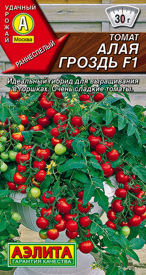 Томат Алая гроздь F1 Томат Алая гроздь F1