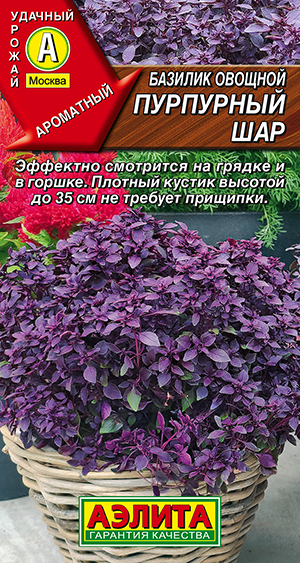 Базилик овощной Пурпурный шар Базилик овощной Пурпурный шар