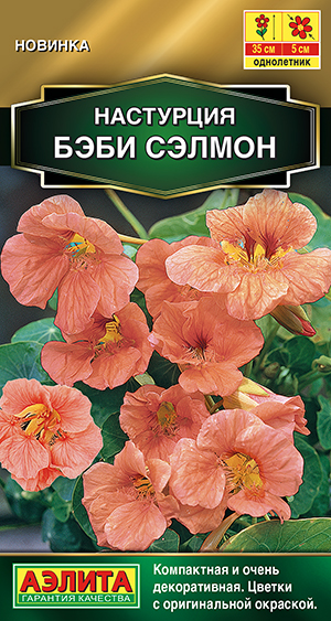Настурция Бэби сэлмон Настурция Бэби сэлмон