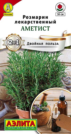 Розмарин Аметист Розмарин Аметист