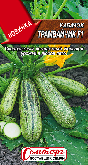 Кабачок цуккини Трамвайчик F1 Кабачок цуккини Трамвайчик F1