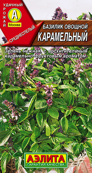 Базилик овощной Карамельный Базилик овощной Карамельный