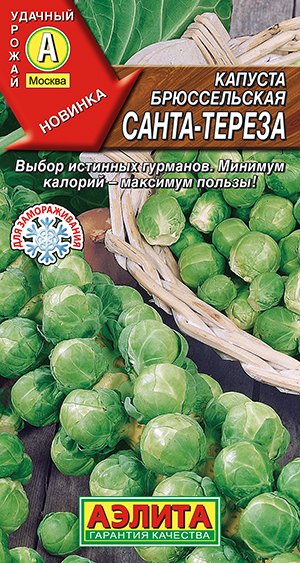 Капуста брюссельская Санта-Тереза Капуста брюссельская Санта-Тереза