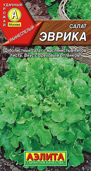 Салат Эврика листовой Салат Эврика листовой
