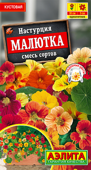 Настурция Малютка, смесь сортов Настурция Малютка, смесь сортов