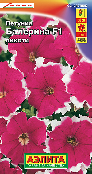 Петуния Балерина пикоти крупноцветковая F1 Петуния Балерина пикоти крупноцветковая F1