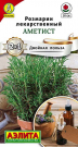 Розмарин Аметист Розмарин Аметист